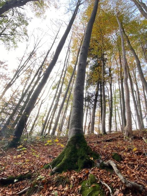 Casa Natur Pur, 85M2 Mit Garten Sauna Fischbachau Kültér fotó