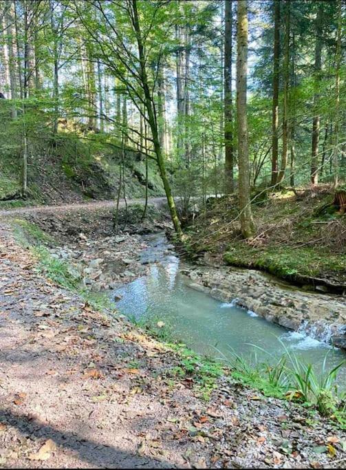 Casa Natur Pur, 85M2 Mit Garten Sauna Fischbachau Kültér fotó