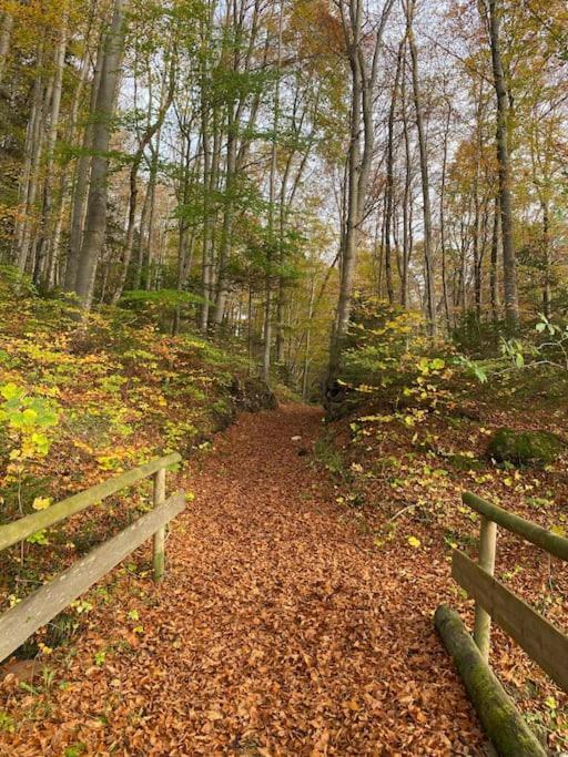 Casa Natur Pur, 85M2 Mit Garten Sauna Fischbachau Kültér fotó