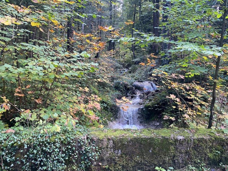 Casa Natur Pur, 85M2 Mit Garten Sauna Fischbachau Kültér fotó